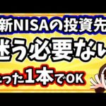 【超簡単】新NISAは1本の投資信託を積立し続けるだけで人生勝ち確定！