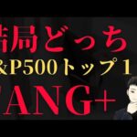 【新NISA投資信託】S&P500トップ１０対FANG+オススメはこれ！！