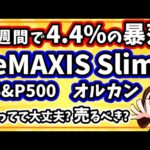 【急降下】新NISAで人気の投資信託が暴落！このまま保有していて大丈夫なの？