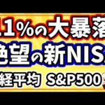 【緊急動画】新NISA今年最大の大暴落！今できること