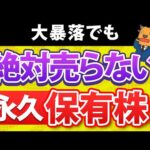 【売るな】大暴落でも関係ない永久保有銘柄4選