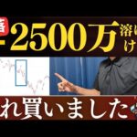 【暴落で買い増し】ー2500万溶けたけど、この銘柄を500万投資しました…。新NISA・楽天証券・SBI証券で買った銘柄